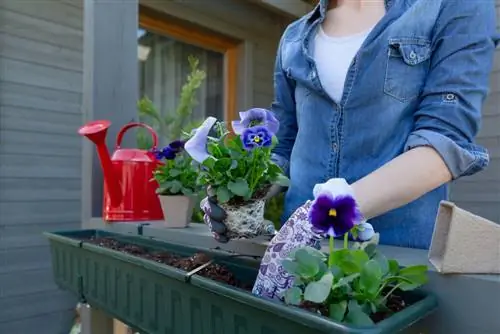 Fill the flower box: How many liters of potting soil do you need?