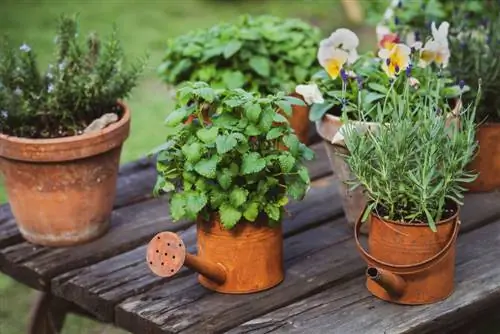 decorações de jardim feitas com coisas antigas