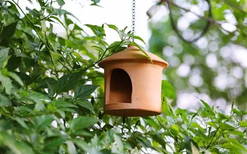 Haz tus propias decoraciones de jardín con arcilla.