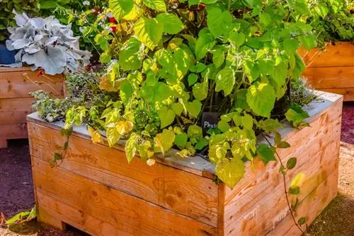 Plantenpot gemaakt van terrasplanken: hoe bouw ik deze zelf?