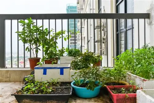 Make your own plant pots out of styrofoam