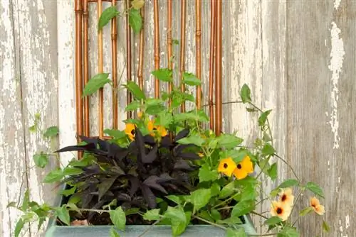 Build your own plant pot with a trellis