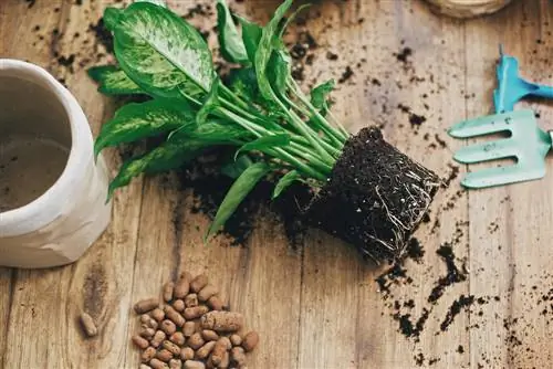 Bouw je eigen plantenpot met wateropslag