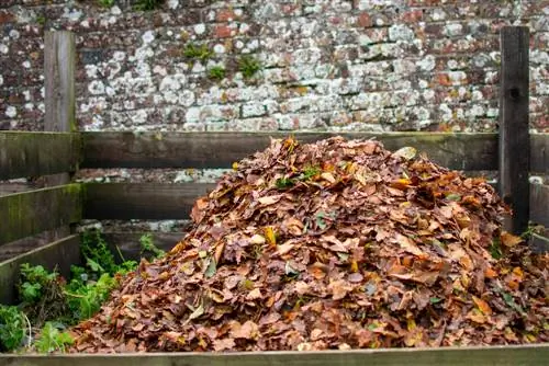 Gooi herfsblare gerieflik en behoorlik weg: Dit is hoe dit werk