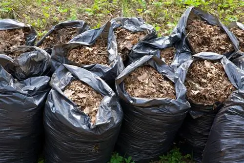 hojas-como-fertilizante hojas-como-fertilizante