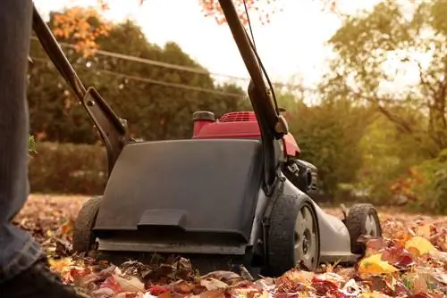 remove leaves with a lawn mower