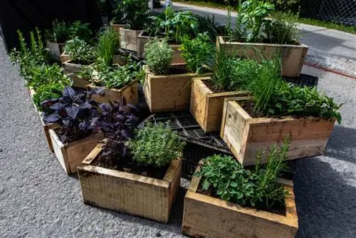 Vous et votre jardin Mayence : découvrez les dernières tendances en matière de jardin