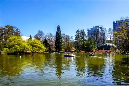 Palmengarten Frankfurt: avastage roheline oaas