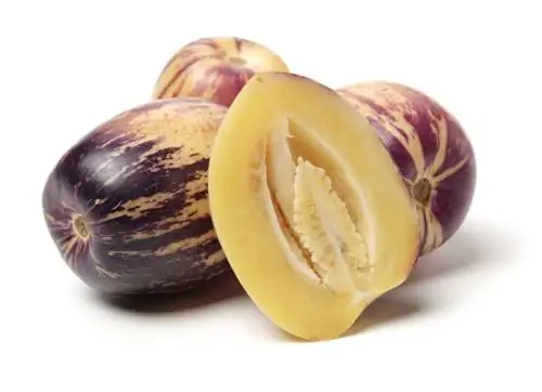 pepino melon när den är mogen