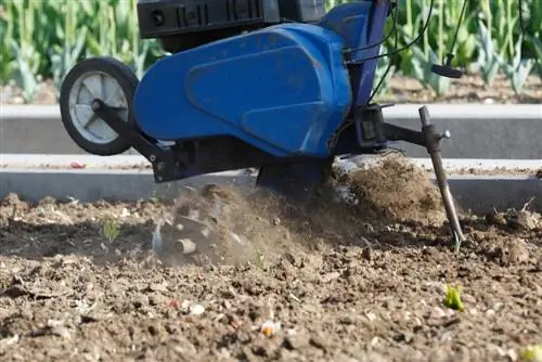 Onkruid: Hoe om jou tuin doeltreffend skoon te maak