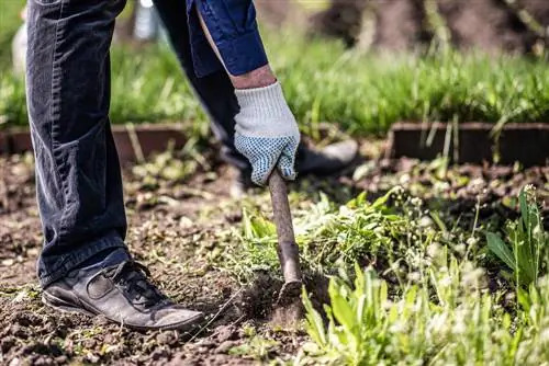 Combatir las malas hierbas de forma natural: cavar como método suave