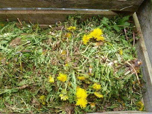 compostage des mauvaises herbes