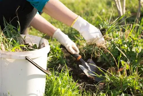 fight weeds naturally