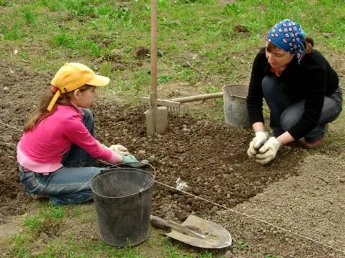 loosen garden soil