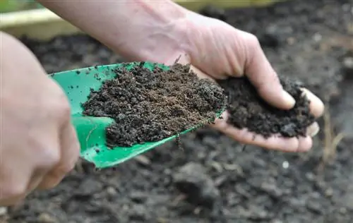 Fertiliser la terre du jardin