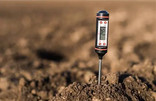 Determina il valore del pH del terreno del giardino