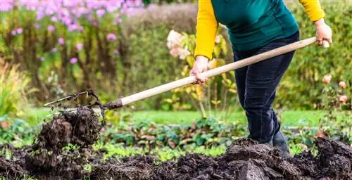 Improve garden soil in autumn: The 4 best methods