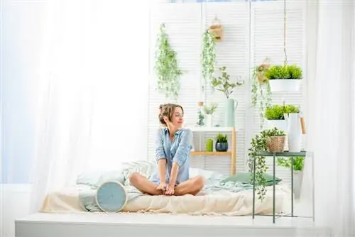 plants-in-the-bedroom