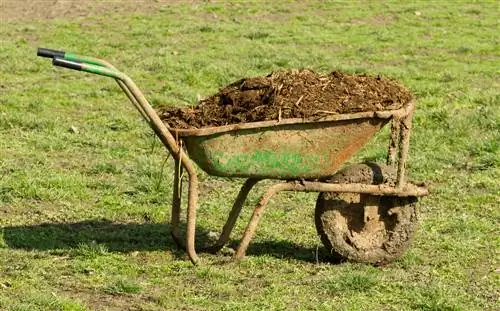 îngrășământ organic