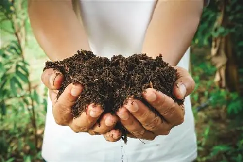 Fertilizzante organico: vantaggi e successo nell'uso