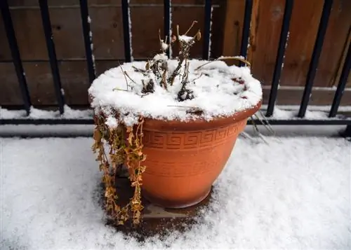 protección de invierno para balcón