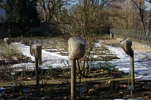 protecció hivernal de jute