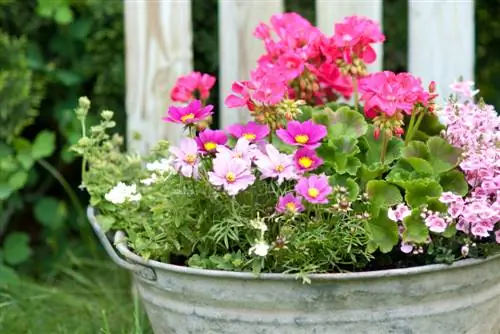 Planting zinc tubs