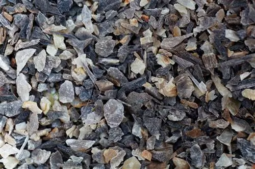 Fertilize perennials with horn shavings