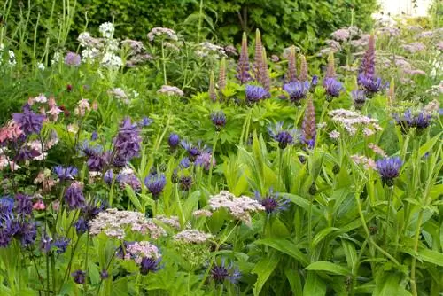 welke-vaste planten-samengaan