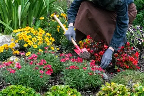 Vaste planten bemesten: stap voor stap naar prachtige bloemen