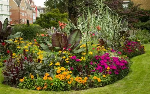 Piesangboom in die huis: Vind die ideale temperatuur