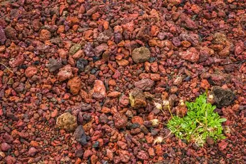 lava mulch