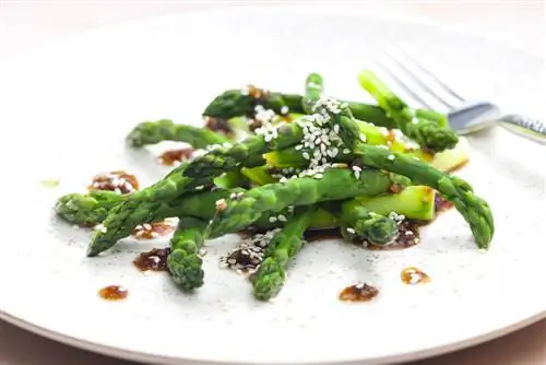 resep-dengan-asparagus