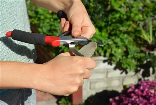 Lente skoonmaak van die tuingereedskap