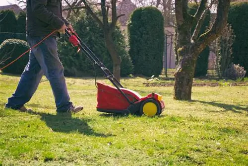 lawn care in April