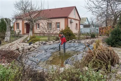 water lily removal