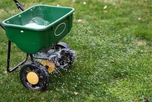 Mengapur padang rumput kuda: bila, mengapa dan cara melakukannya dengan betul