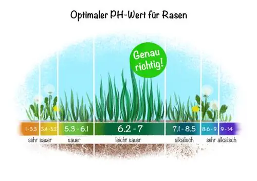 Cal para césped: valor de PH óptimo para el césped