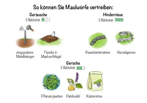 Molehills: Ecco come puoi sbarazzarti delle talpe