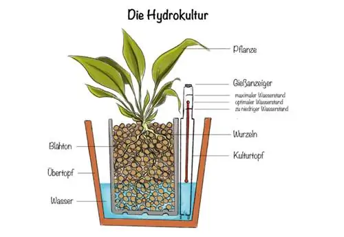 Hydrocultuur