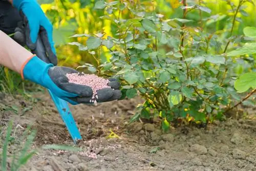 fertilizzanti per giardini ornamentali