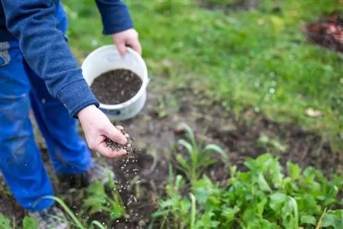 Grondaktiveerder: allesomvattende inligting, gebruik en beste produkte