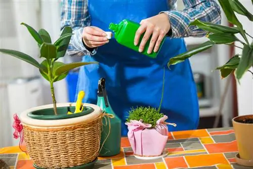 fertilizing potted plants