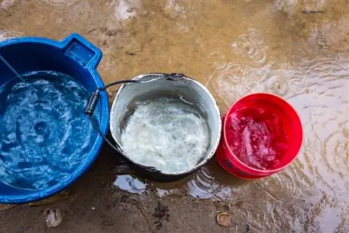 récupérer l'eau de pluie