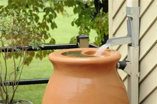 Récupérer efficacement l'eau de pluie : méthodes pour jardins et balcons