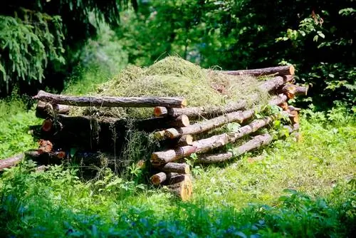 accélérateur de compost