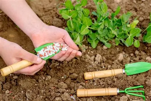 Engrais complet au jardin : quels sont les avantages et les inconvénients ?