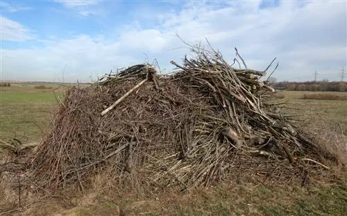 seto de madera muerta