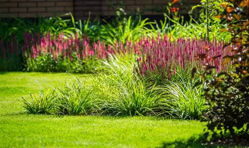 Ombra parziale in giardino: significato, scelta delle piante e consigli