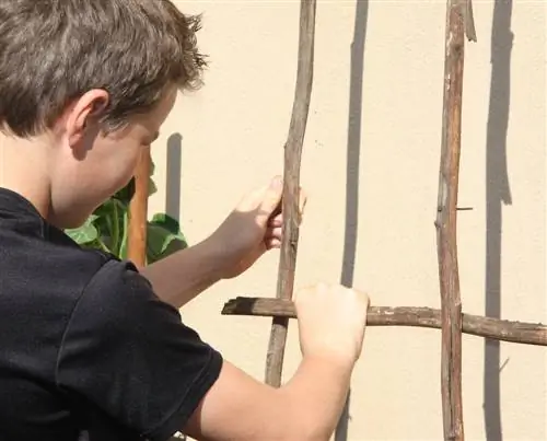 Trellis voor kamerplanten: bouw het eenvoudig zelf